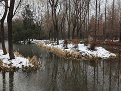 -洛阳市隋唐城遗址植物园