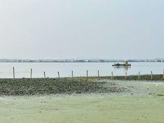 -阳澄湖半岛旅游度假区