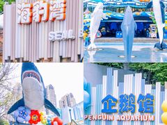 -海合安成都极地海洋公园