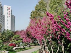 -紫荆山公园