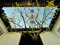 -沧浪亭