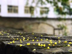 -湖北省美术院美术馆