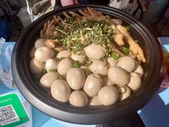 -嘉定紫藤园