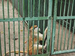-秦皇岛野生动物园