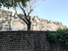 -大炮台