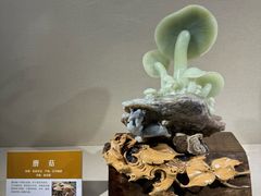 -大连自然博物馆