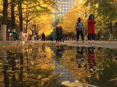 -辽宁大学(崇山校区)