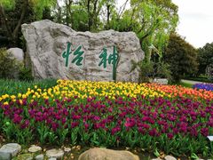 -上海鲜花港