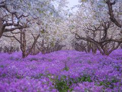 -江苏三台山国家森林公园