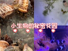 -双季花艺园艺市场(浦东店)