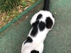 -上海理工大学出版印刷高等专科学院-学生食堂