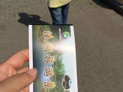 门票-溱湖国家湿地公园