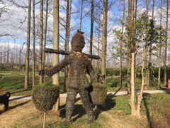 -上海长兴岛郊野公园