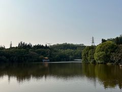 -深圳仙湖植物园