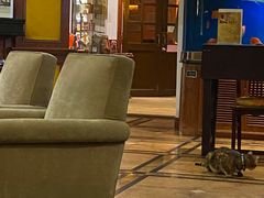 -雪茄客PURAVIDA俱乐部(上海店)