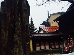 -医王山·飞騨国分寺