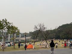 -东莞植物园