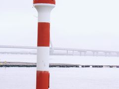 -北海金海湾红树林生态旅游区