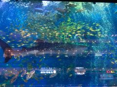 -成都浩海立方海洋公园