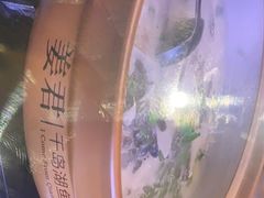 千岛湖招牌鱼头砂锅-姜君·千岛湖鱼头馆(浦东大道店)