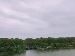 -上海鲜花港