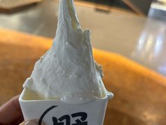 -野人牧坊Gelato(天津南开大悦城店)
