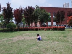 -汉江湾体育公园