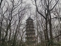 -灵谷景区