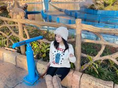 -世界恐龙谷景区