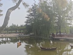 -神州牡丹园
