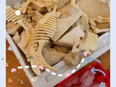 -船家渔(徐州北路店)