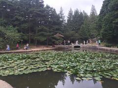 -庐山风景区花径公园