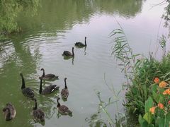 -长兴太湖图影湿地文化园