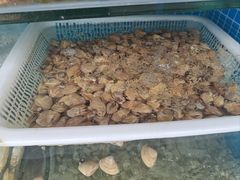 -北戴河庆山饭店·海鲜砂锅粥(北戴河黑石路店)