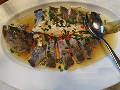 -中国坊中餐厅(石家庄希尔顿酒店)