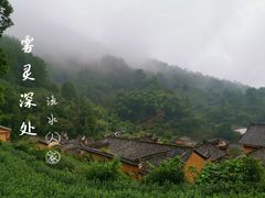 -杨家堂村