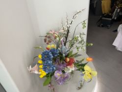 -星光兔·西扶海棠·写真馆(景德镇店)