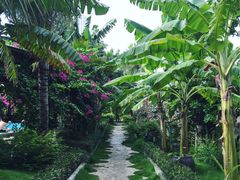 -加林娜泥浴水疗