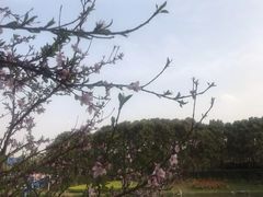 -美兰湖景区