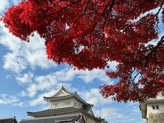 -名古屋城