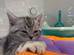 -龟与熊猫宠物公园(南坪店)