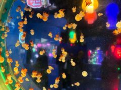 -太平洋海底世界