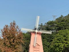 -顺峰山公园