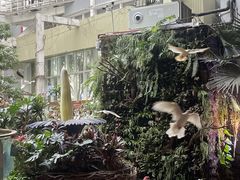 -正佳雨林生态植物园