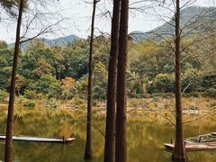 -深圳仙湖植物园