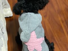 -熊小胖宠物生活馆(天华园店)