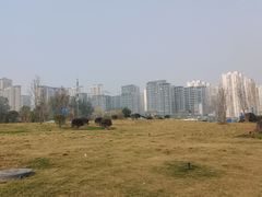 -三圣花乡旅游区