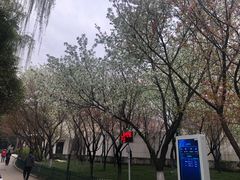 -西安市长乐公园
