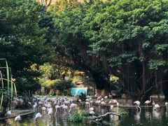-九龙公园