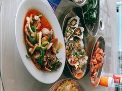 -巽寮湾海鲜批发码头